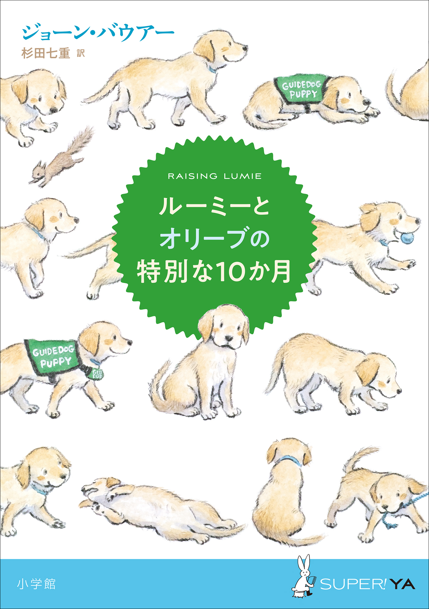 ルーミーとオリーブの特別な１０か月