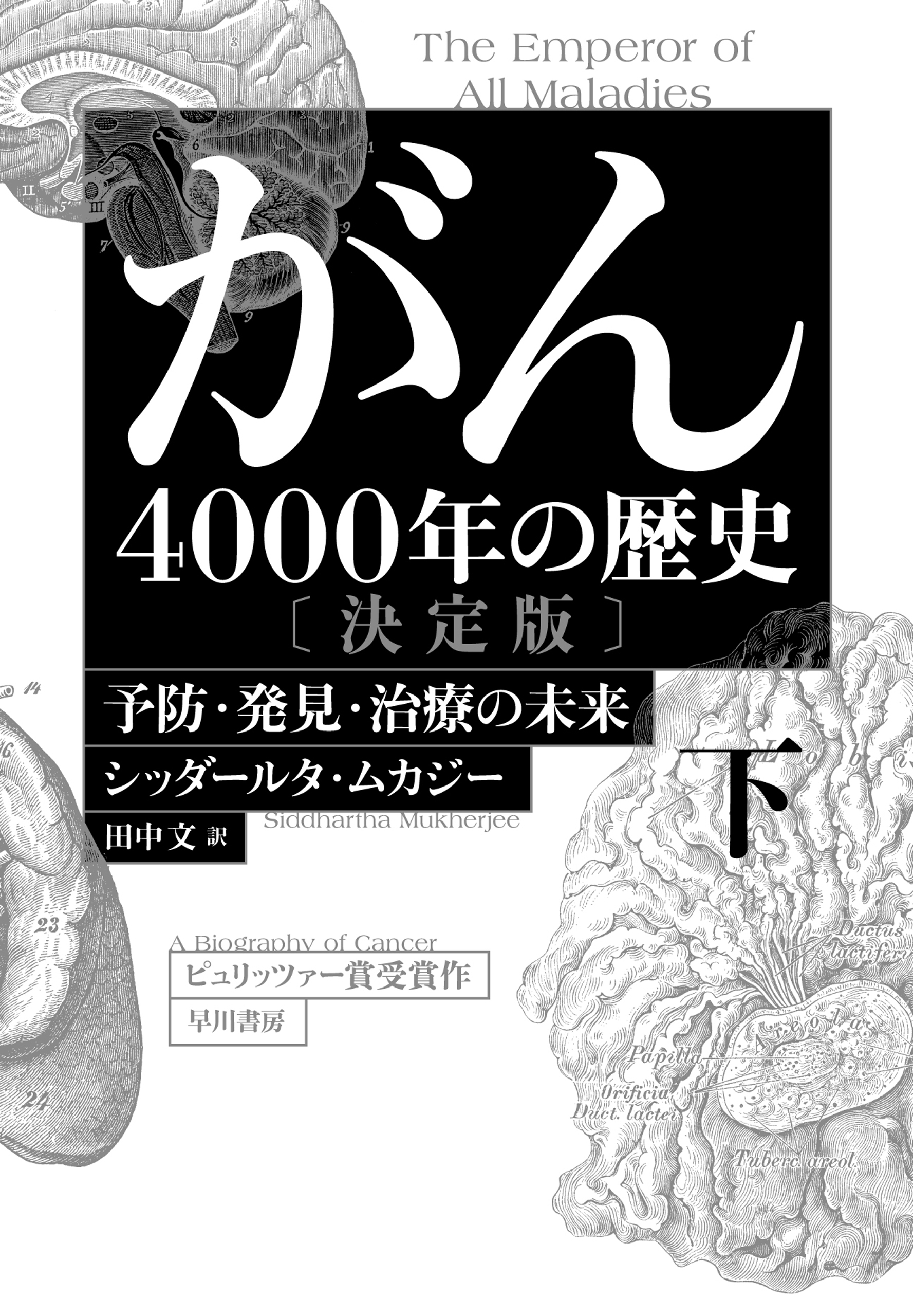 がん―４０００年の歴史―