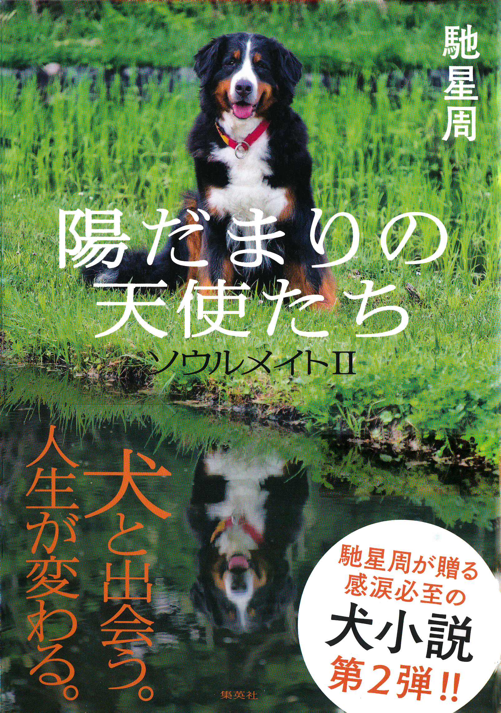 ソウルメイト【電子特別版】