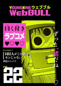 Web BULL