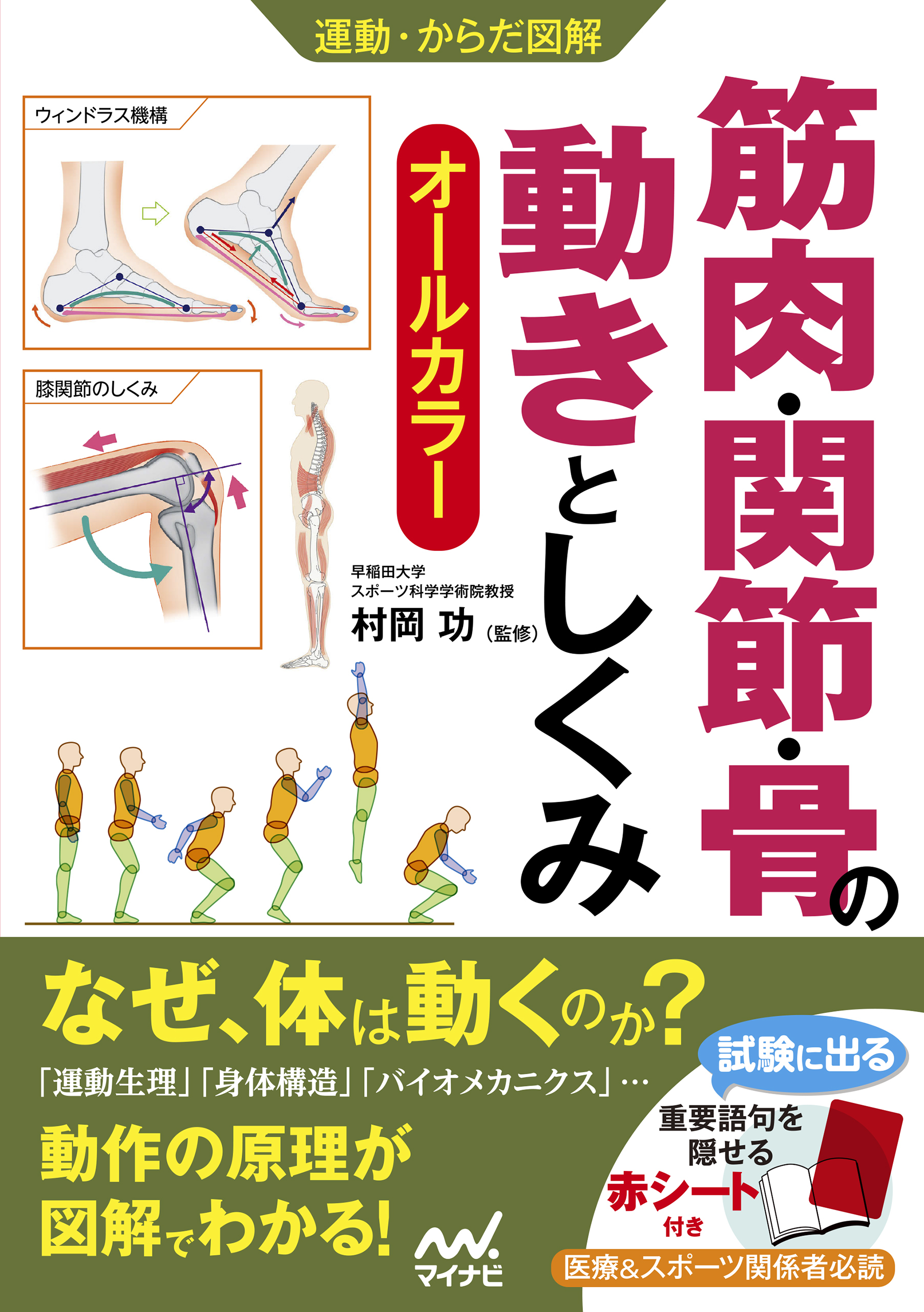 運動・からだ図解　筋肉・関節・骨の動きとしくみ