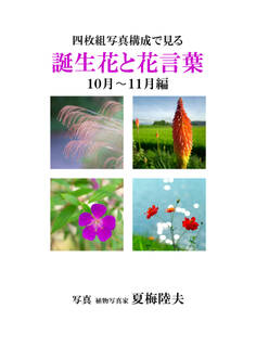 四枚組写真構成で見る誕生花と花言葉10~11月編