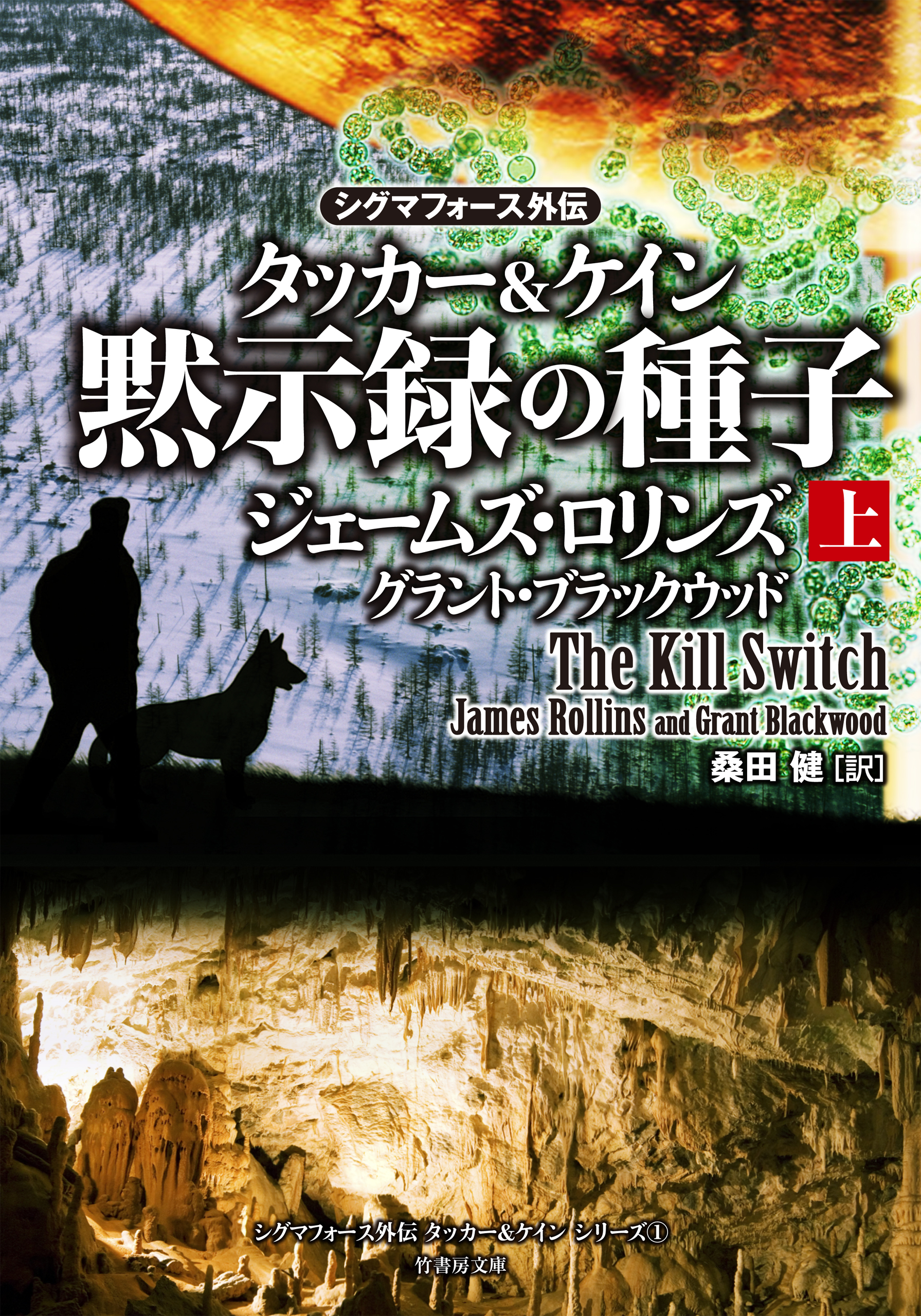シグマフォース外伝　タッカー＆ケイン　黙示録の種子　上