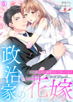 政治家の花嫁~契約婚なのに溺愛されて困ってます~