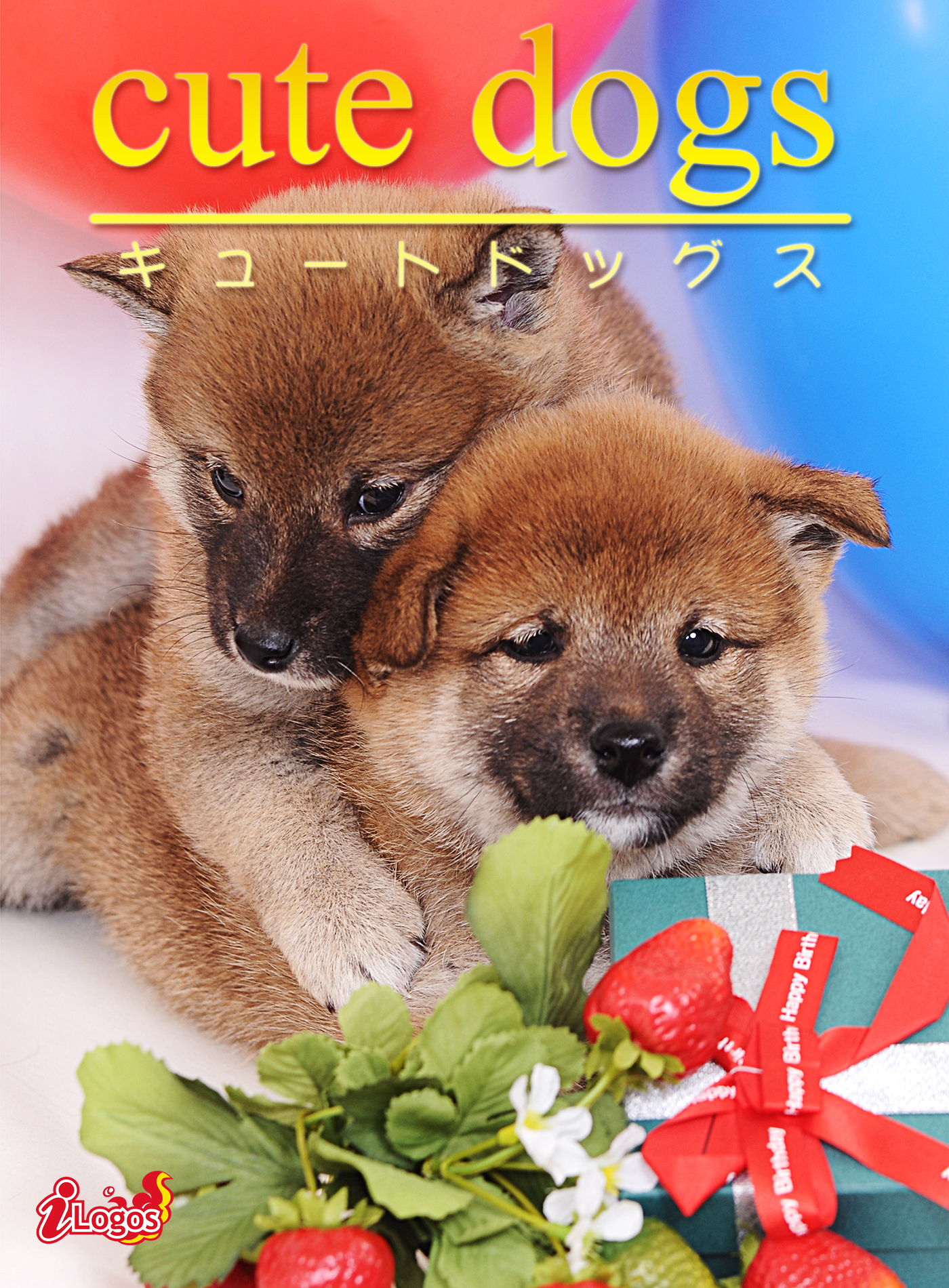 cute dogs05 柴犬