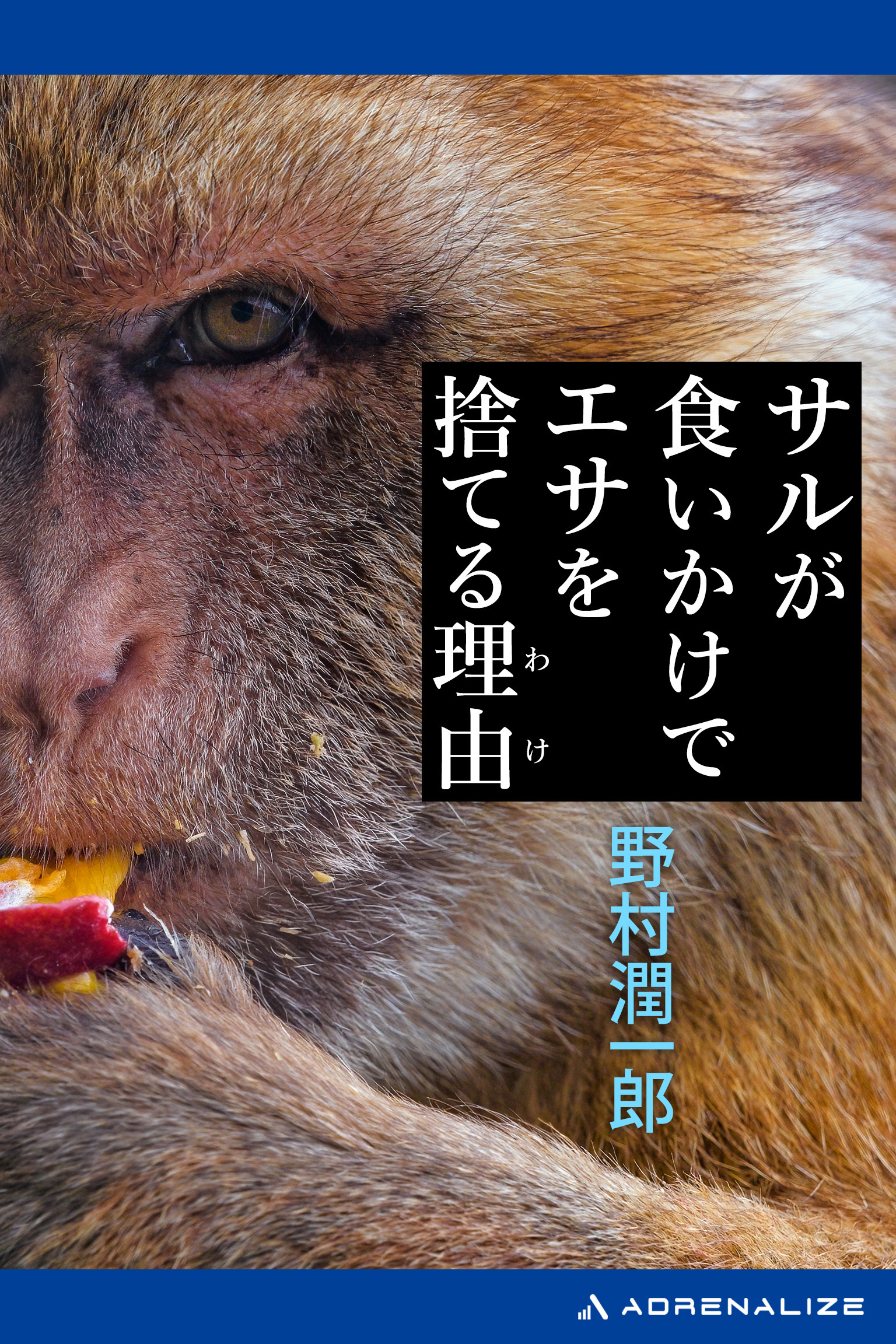 サルが食いかけでエサを捨てる理由（わけ）