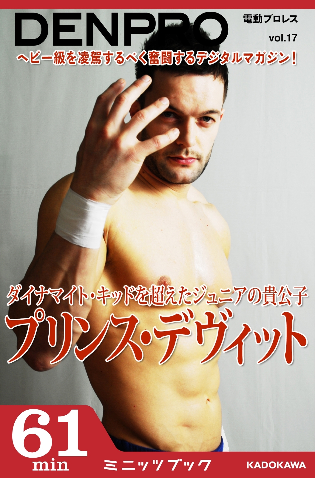 電動プロレス vol.17