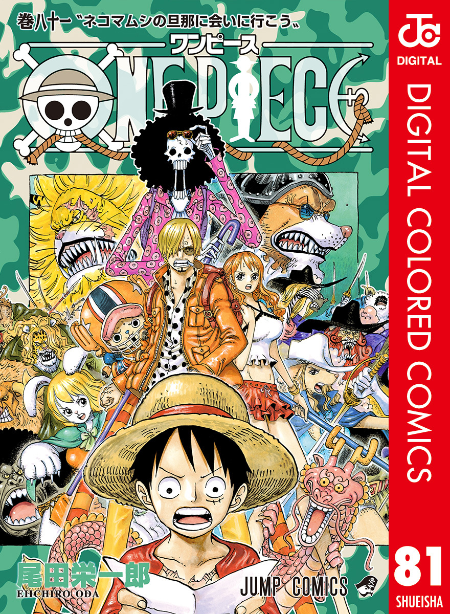 ONE PIECE カラー版 81