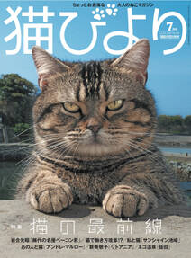 猫びより2019年7月号　Vol.106