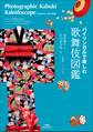 バイリンガルで楽しむ 歌舞伎図鑑~Photographic Kabuki Kaleidoscope in Japanese and English~