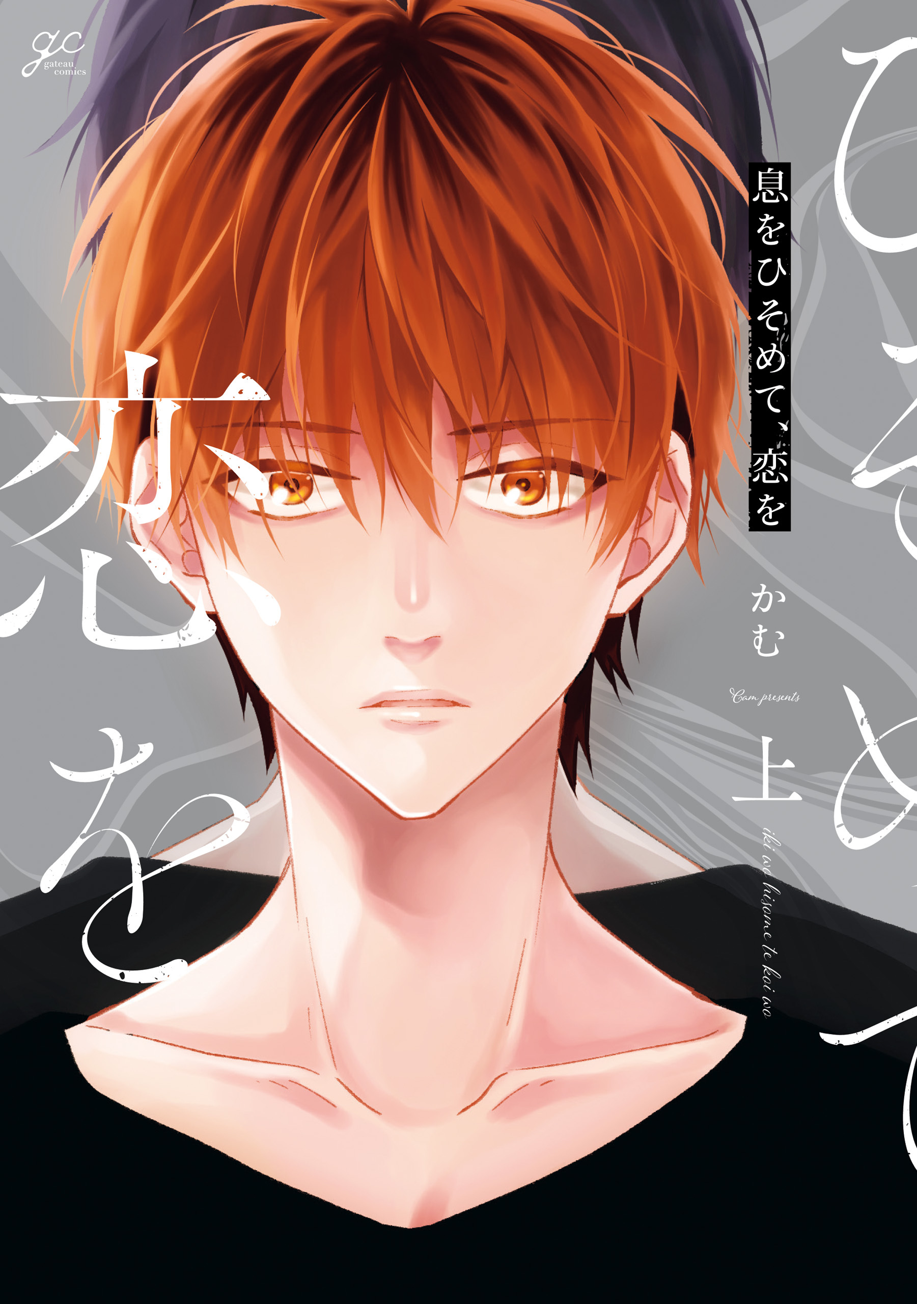 息をひそめて、恋を 上【特典ペーパー付き】