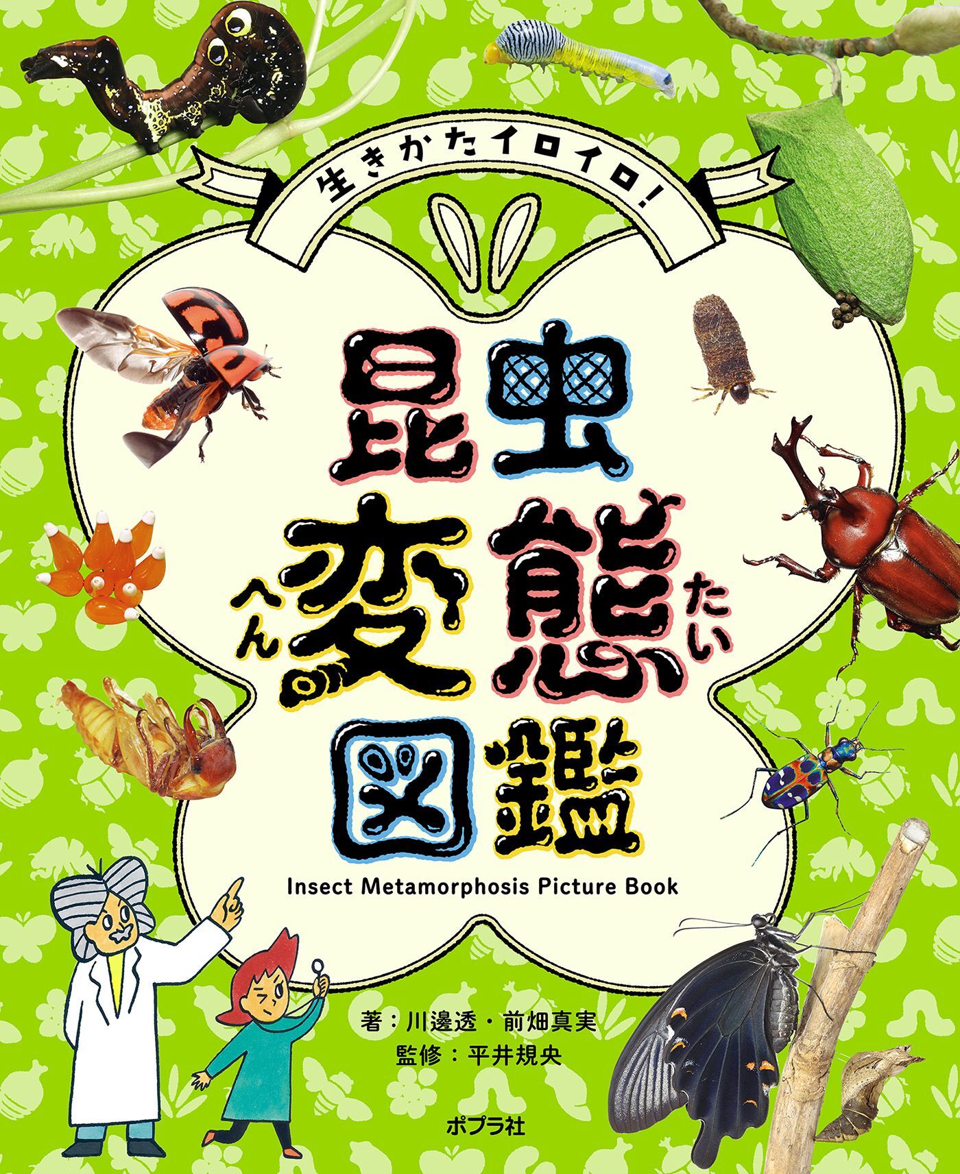 生きかたイロイロ！　昆虫変態図鑑