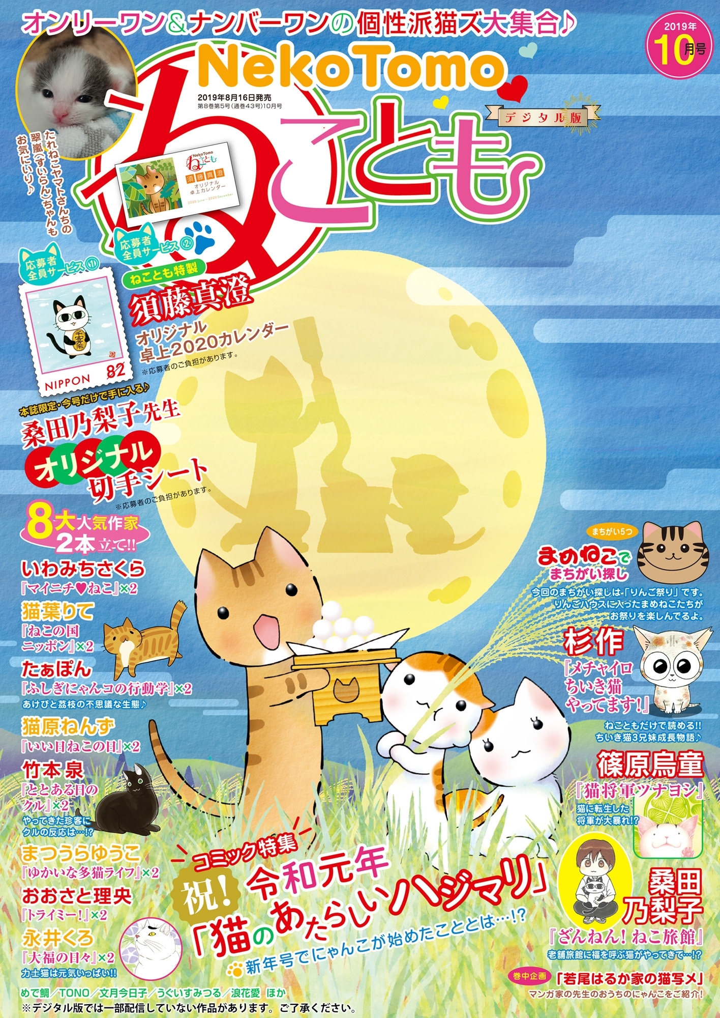 ねこともvol.63
