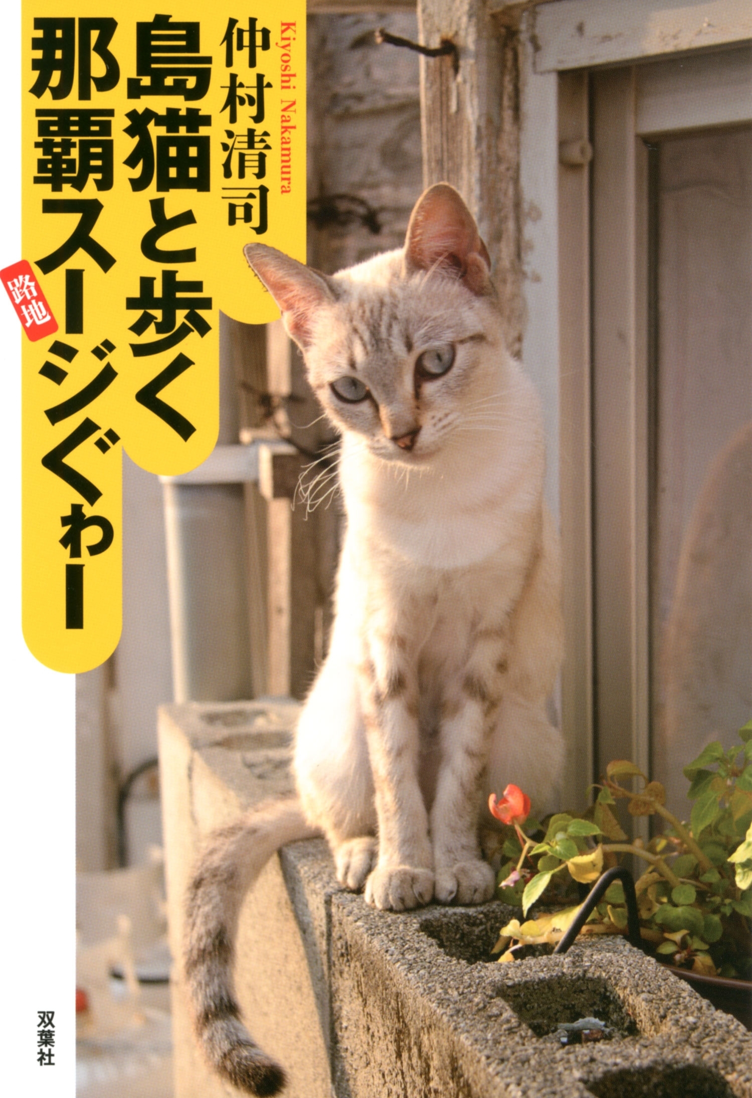 島猫と歩く那覇スージぐゎー