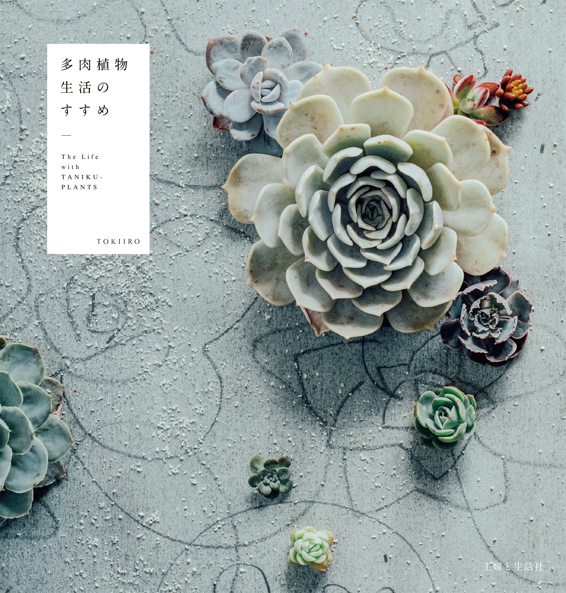 多肉植物生活のすすめ