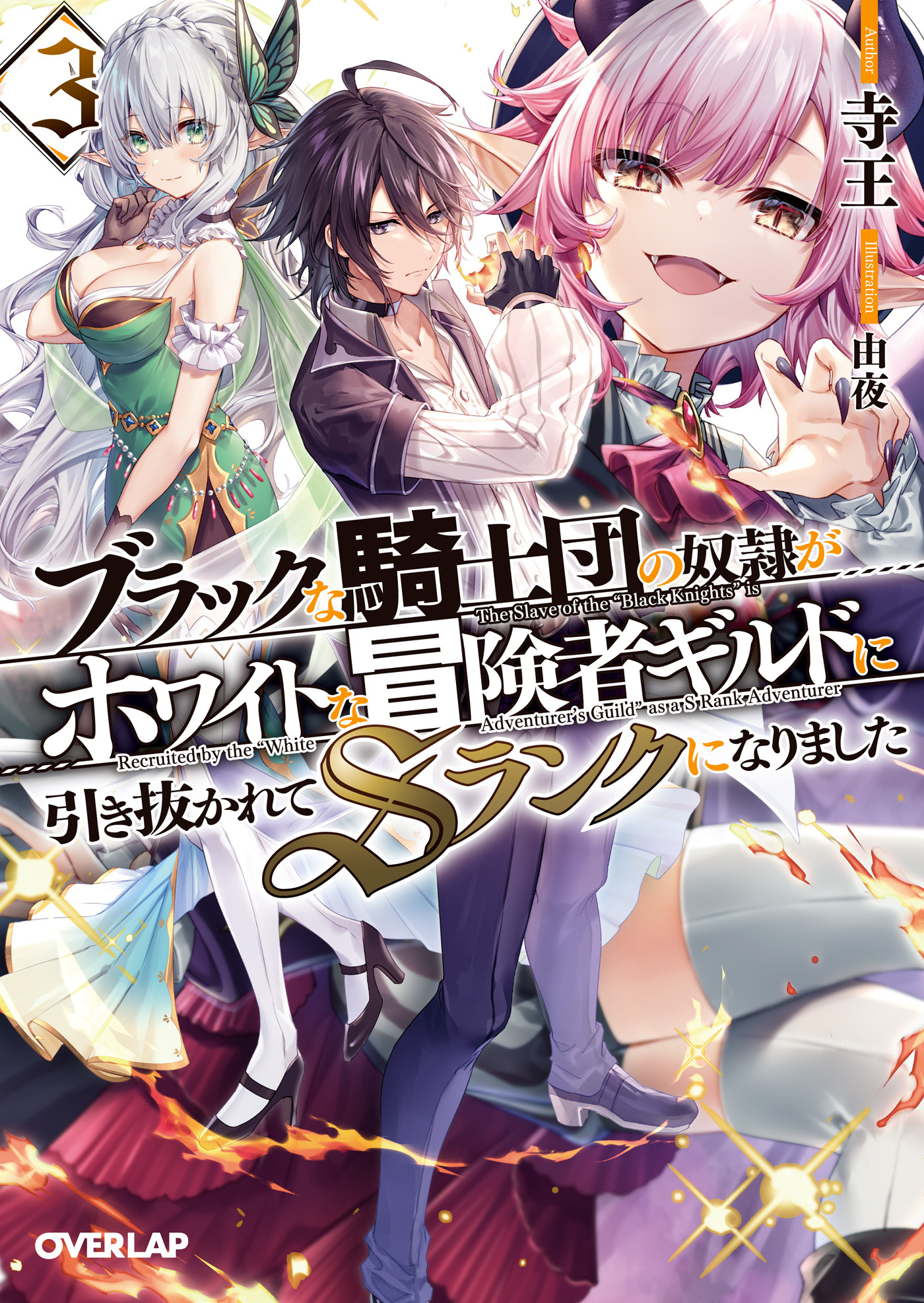 【期間限定　無料お試し版】ブラックな騎士団の奴隷がホワイトな冒険者ギルドに引き抜かれてSランクになりました 3