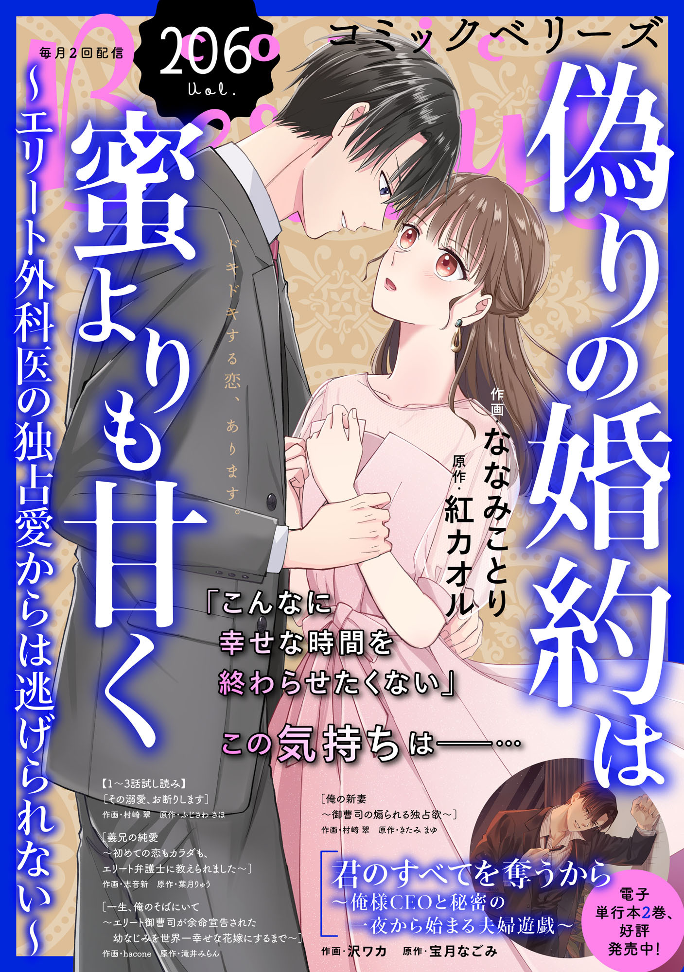 comic Berry's vol.206