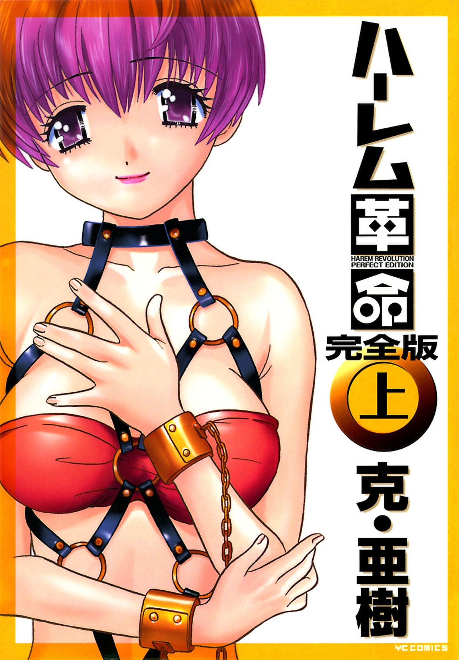 ハーレム革命完全版 （１）