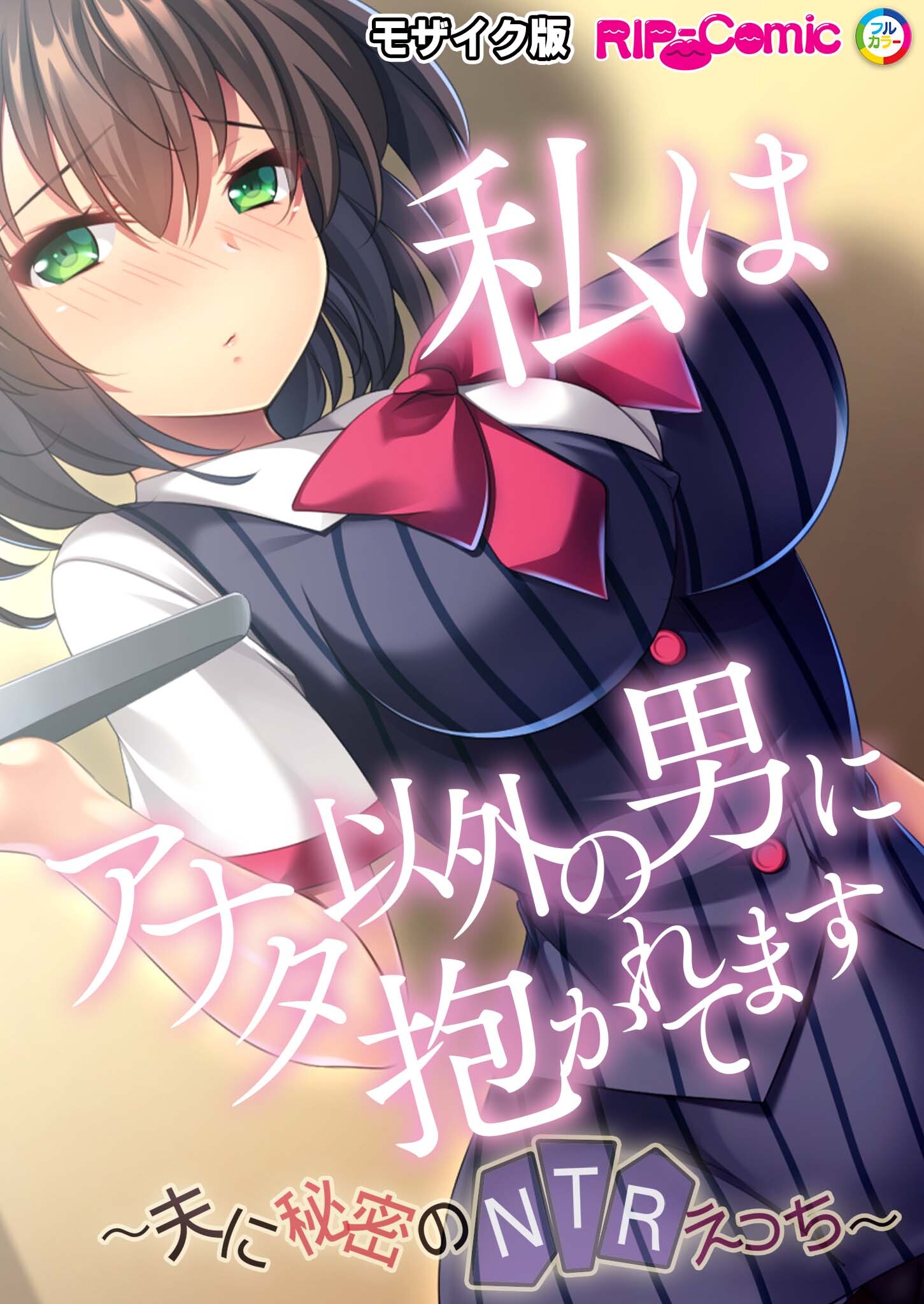 私はアナタ以外の男に抱かれてます ～夫に秘密のNTRえっち～ モザイク版
