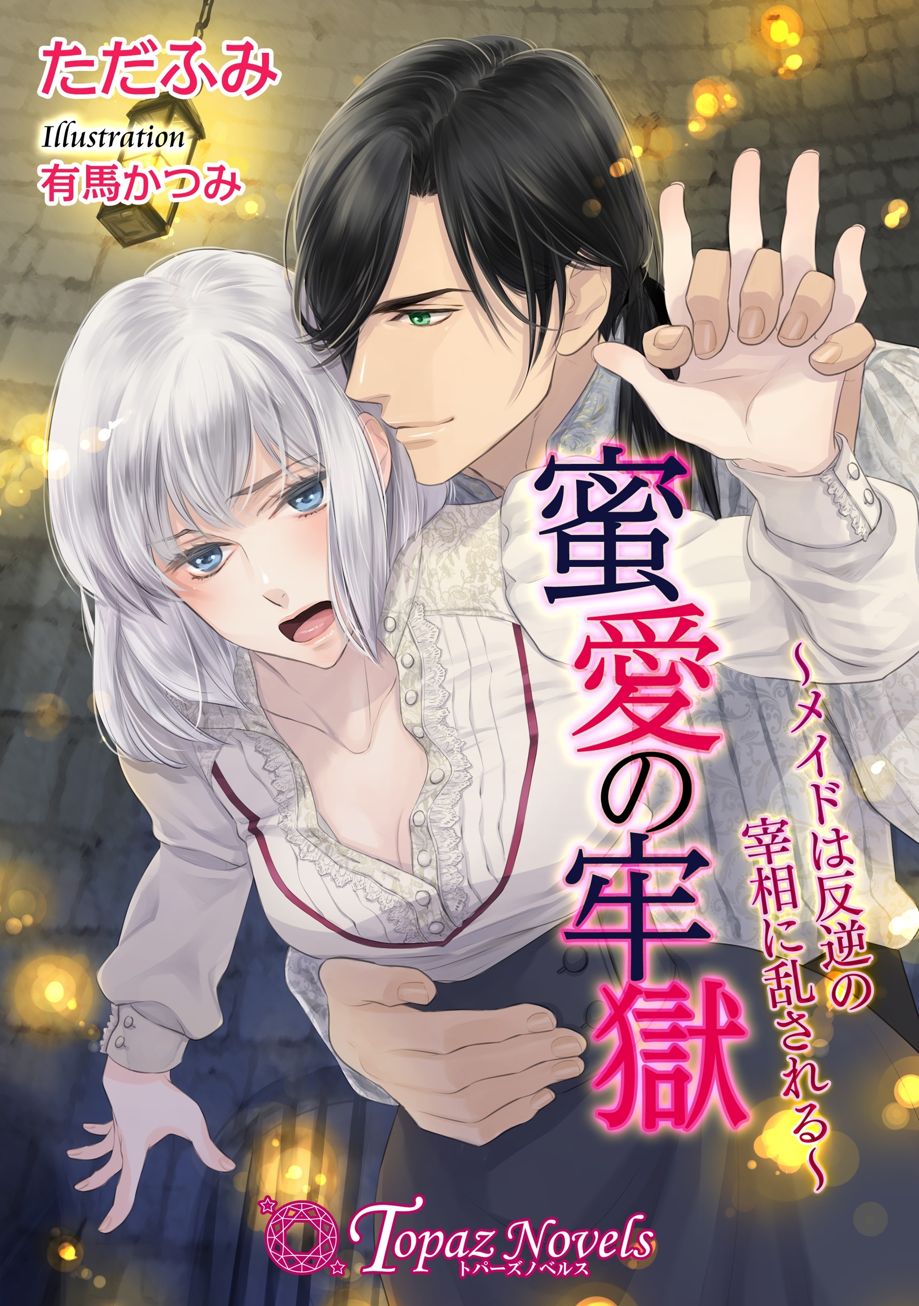 蜜愛の牢獄-メイドは反逆の宰相に乱される-【書下ろし・イラスト10枚入り】
