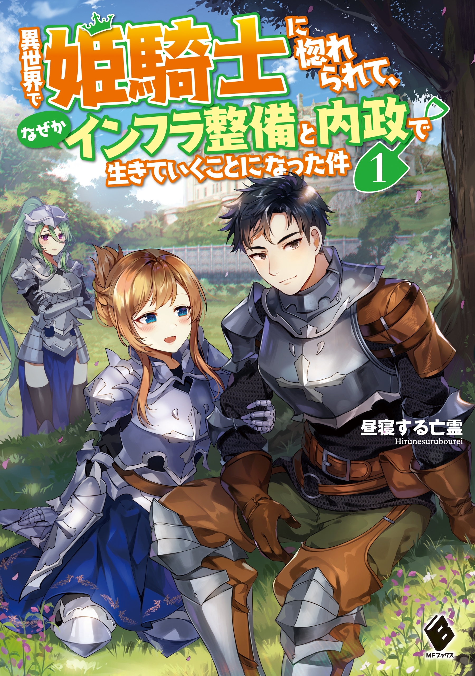 異世界で姫騎士に惚れられて、なぜかインフラ整備と内政で生きていくことになった件　1