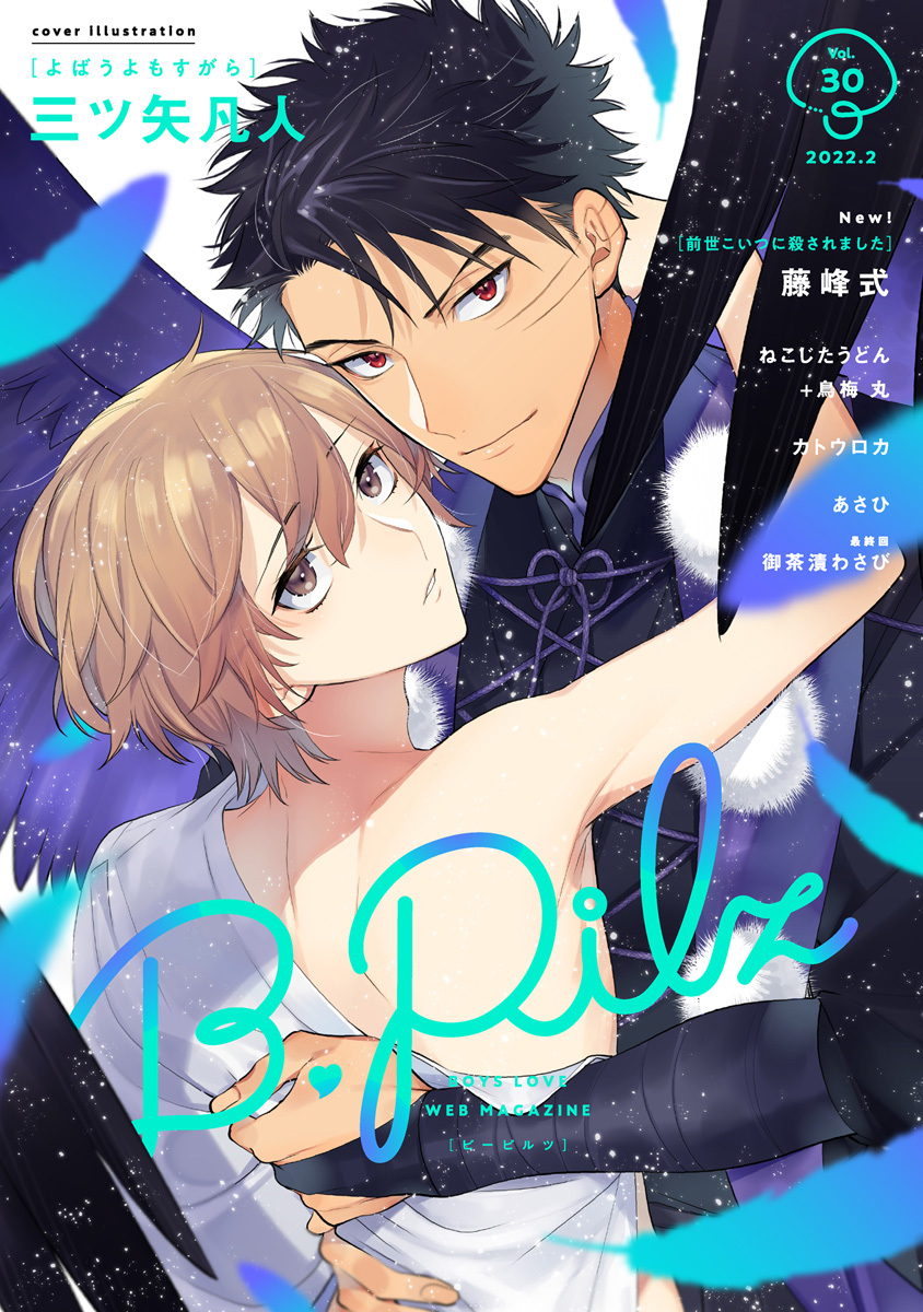 B.Pilz　ｖｏｌ．30