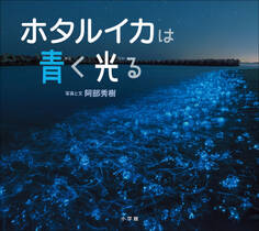 ホタルイカは青く光る(小学館の図鑑NEOの科学絵本)