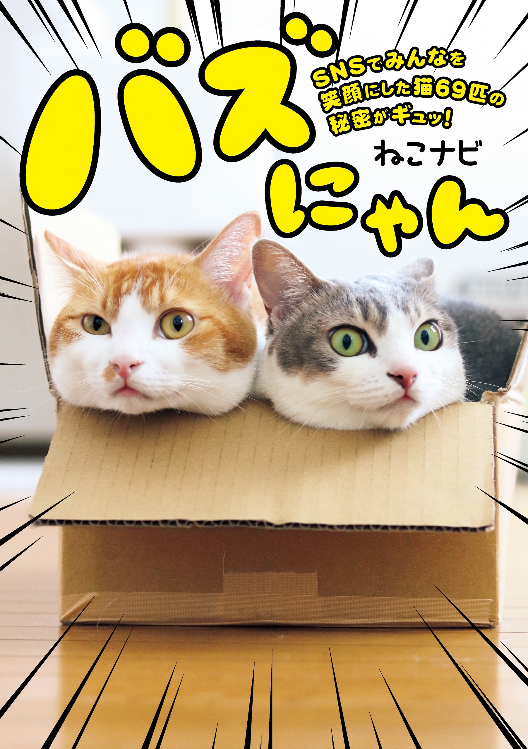 バズにゃん　SNSでみんなを笑顔にした猫69匹の秘密がギュッ！