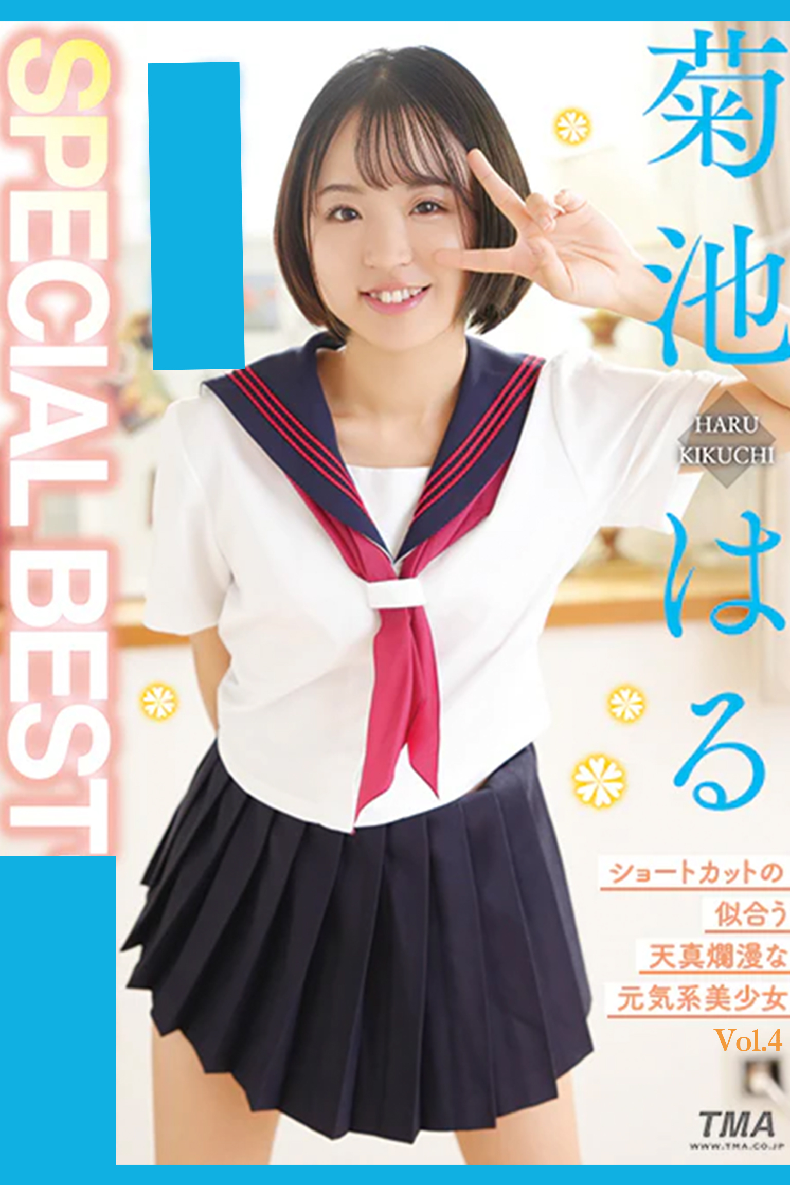 SPECIAL BEST Vol.4 / 菊池はる