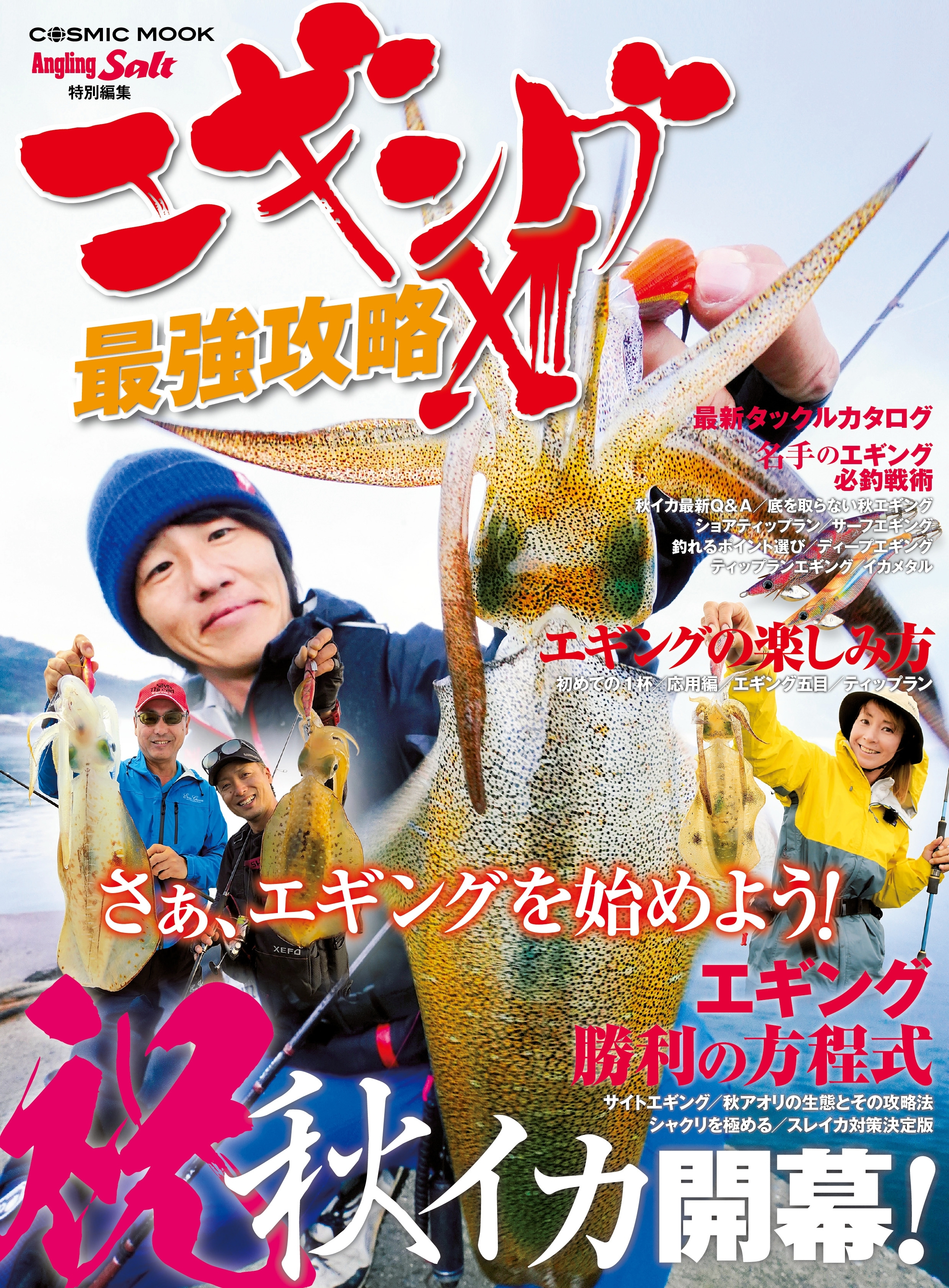 エギング最強攻略XIII