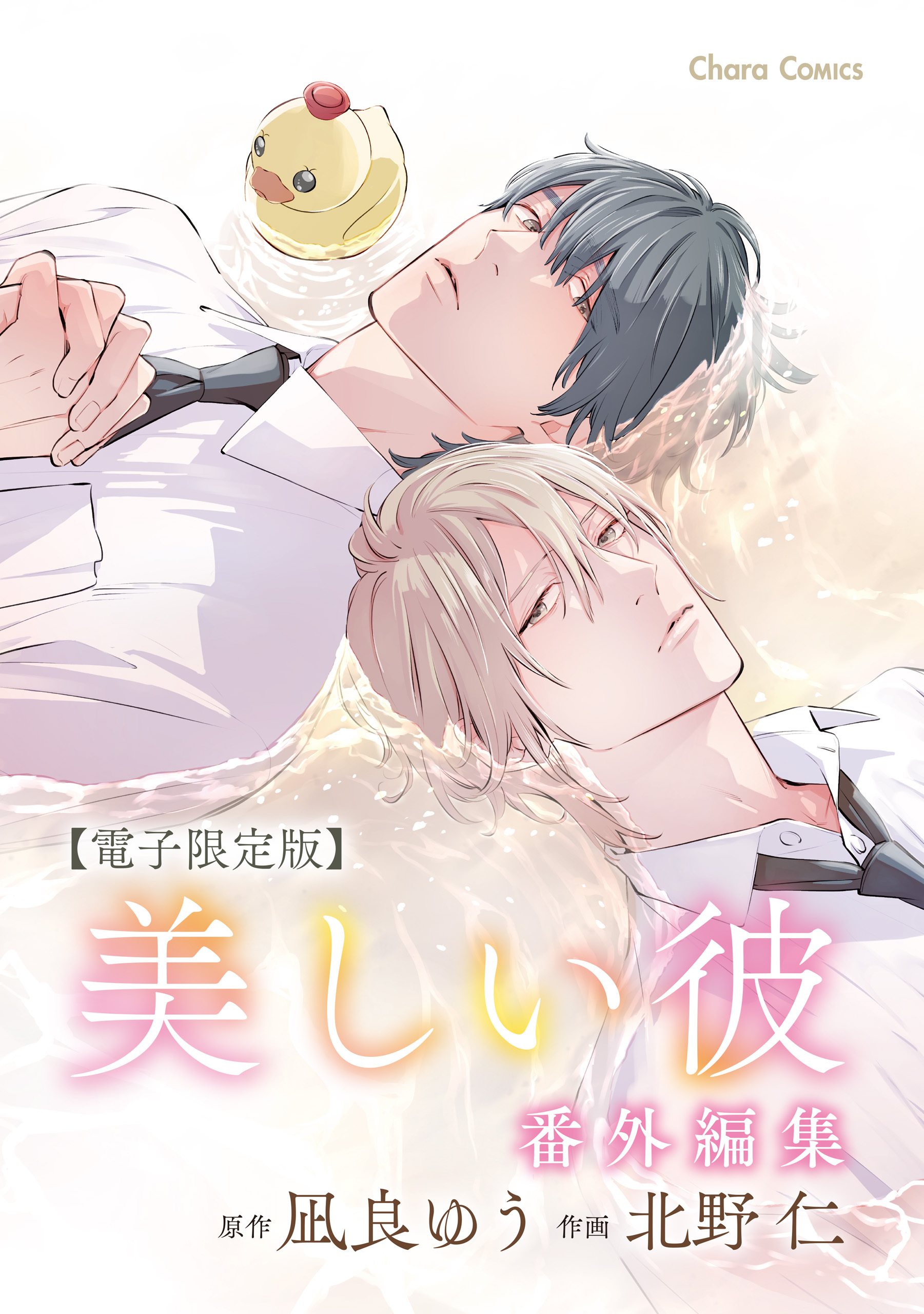 「美しい彼」番外編集【電子限定版】