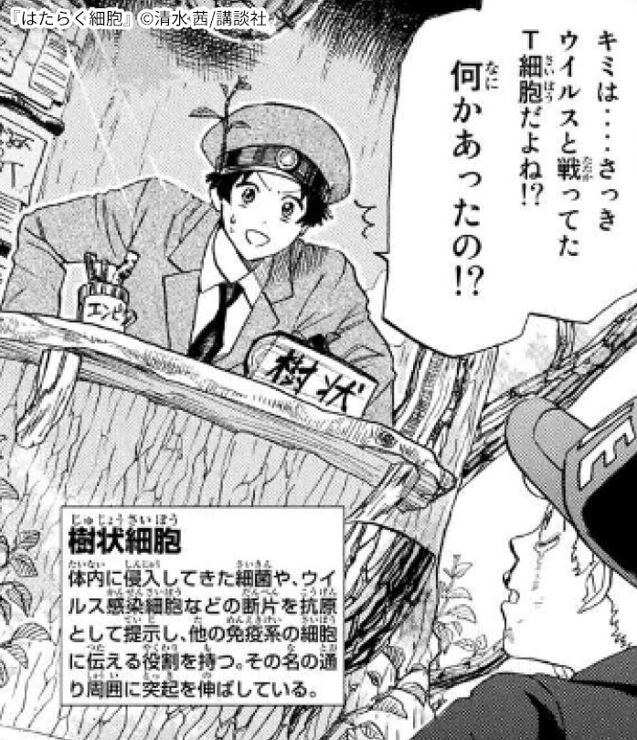 はたらく細胞 の人気キャラクターとは 主要人物をおさらい マンガ特集 人気マンガを毎日無料で配信中 無料 試し読みならamebaマンガ