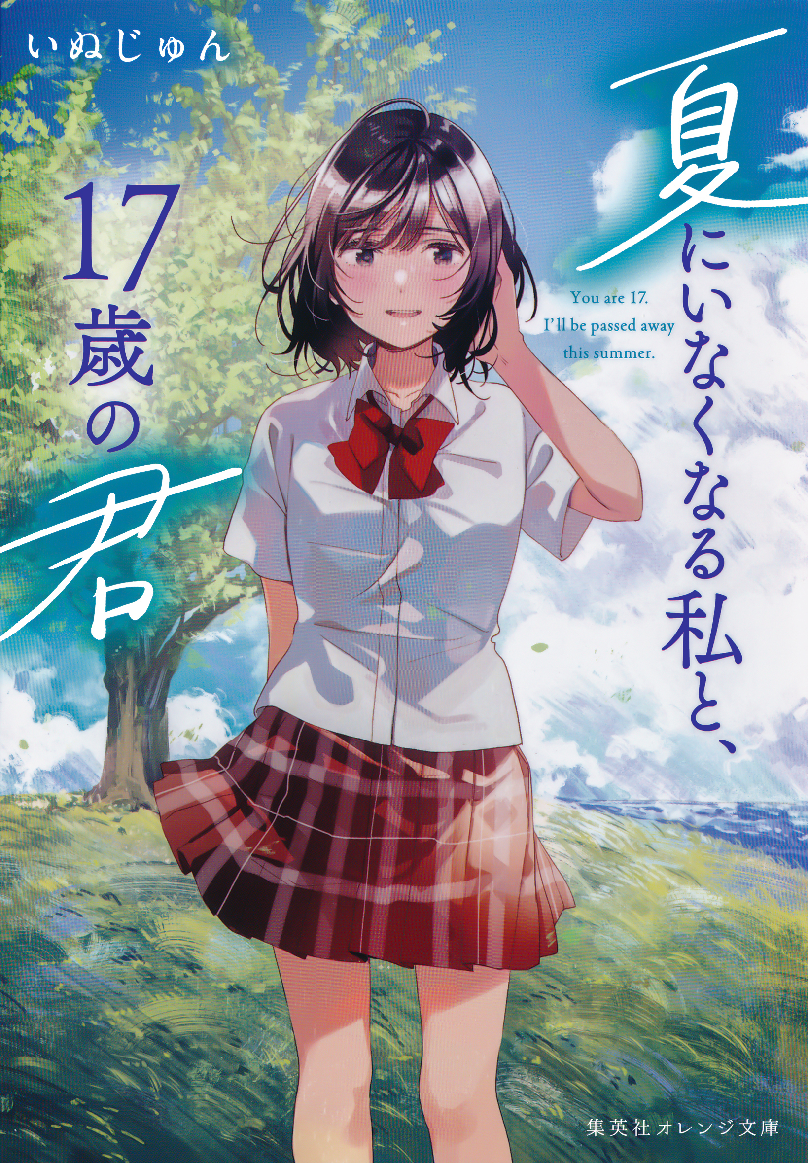 夏にいなくなる私と、17歳の君