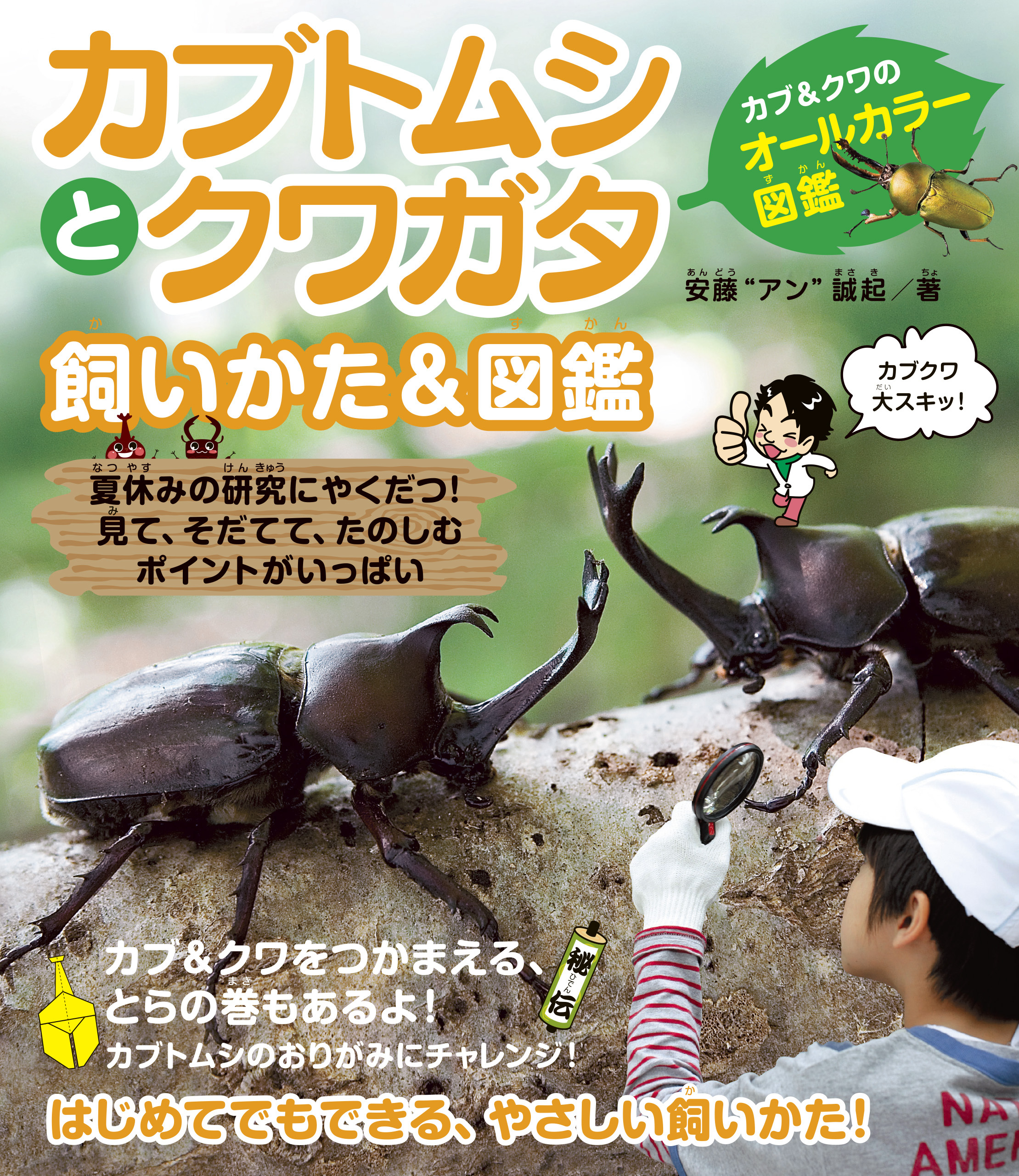 カブトムシとクワガタ　飼いかた＆図鑑