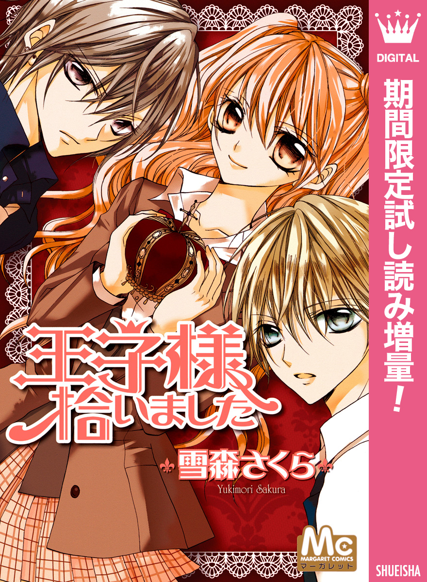 王子様拾いました【期間限定試し読み増量】