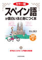 カラー版　音声ダウンロード付　スペイン語が面白いほど身につく本