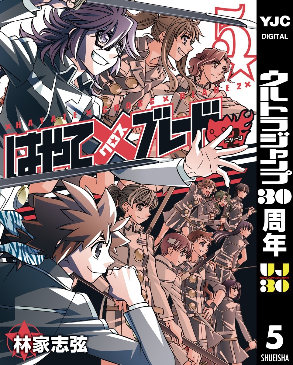 はやて×ブレード2 5