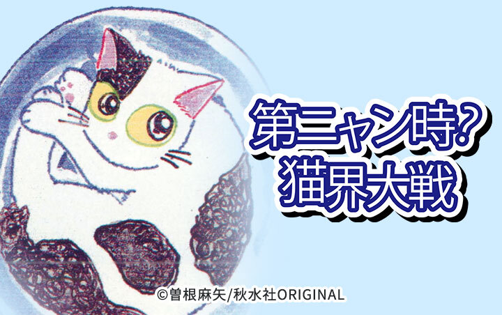 第ニャン時?猫界大戦