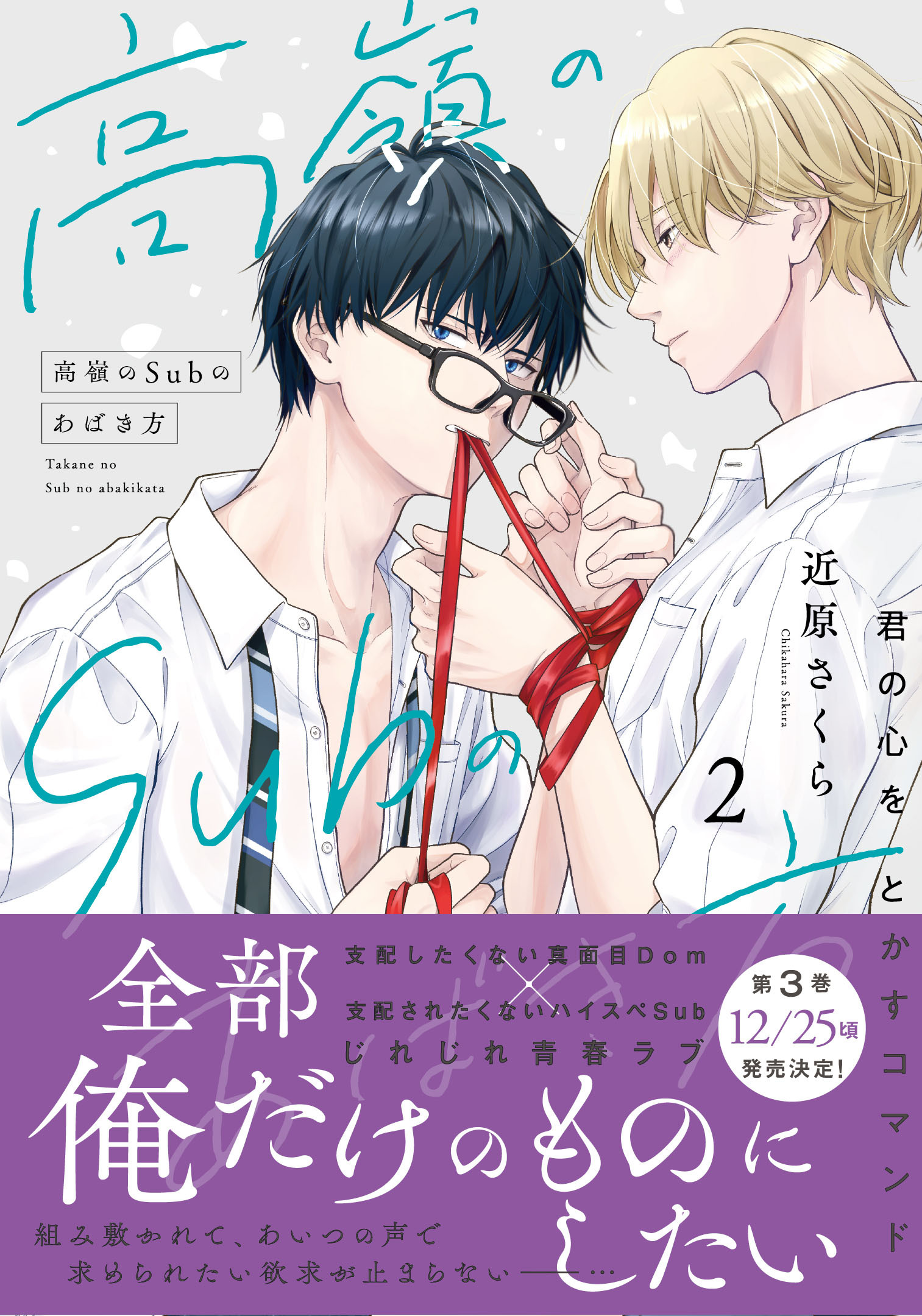 高嶺のSubのあばき方【単行本版】2君の心をとかすコマンド【電子限定特典付き】