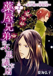 薬屋兄弟の不思議な店～裏小路の泰福堂～2