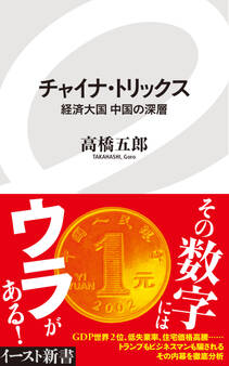 チャイナ・トリックス 経済大国中国の深層