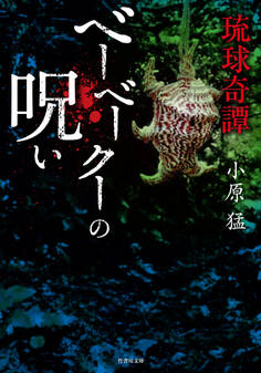 琉球奇譚 ベーベークーの呪い