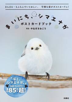 まいにち、シマエナガ ポストカードブック