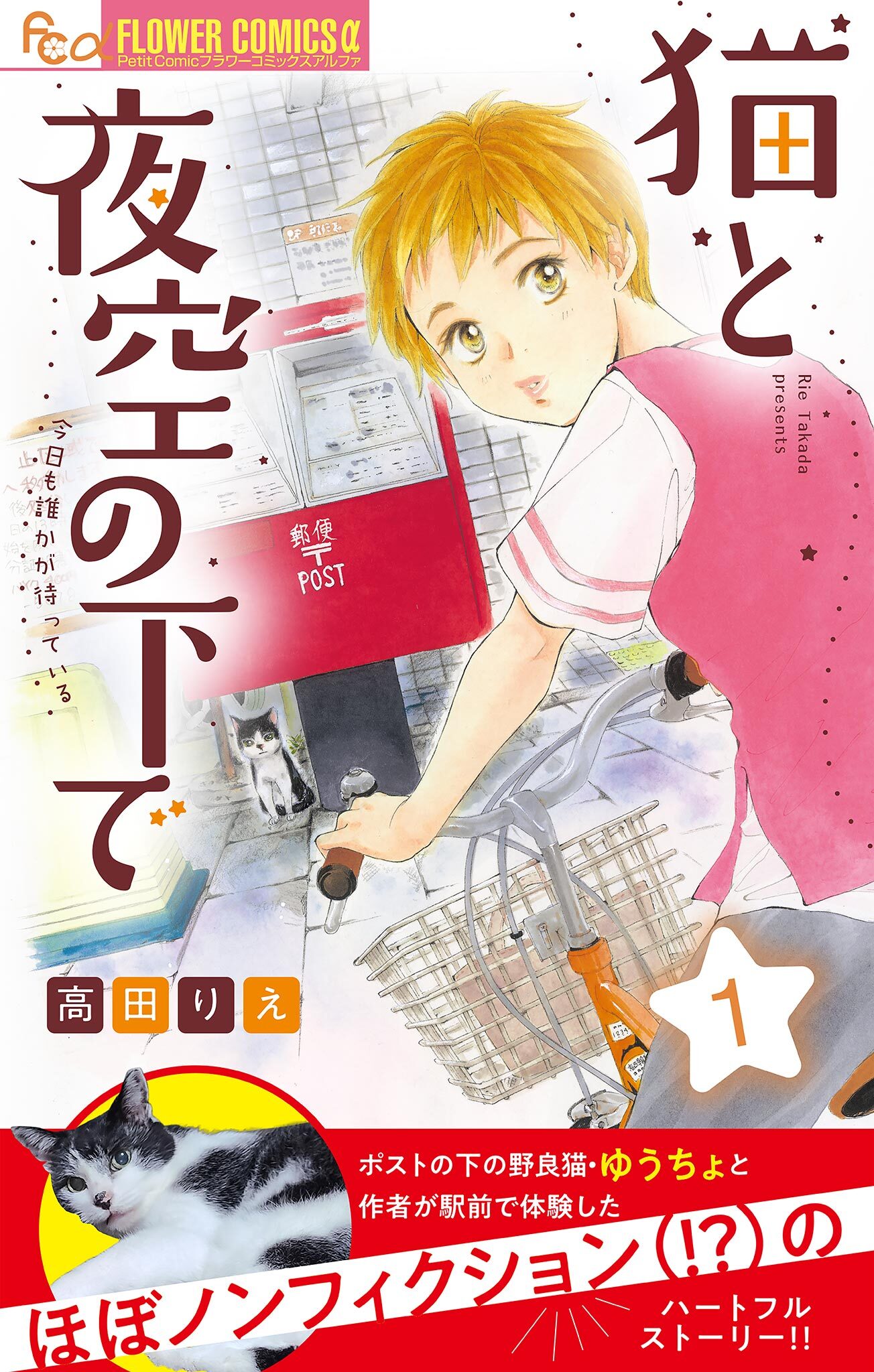 【期間限定　無料お試し版　閲覧期限2026年2月18日】猫と夜空の下で【マイクロ】 1