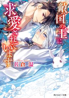 敵国の王に求愛されています