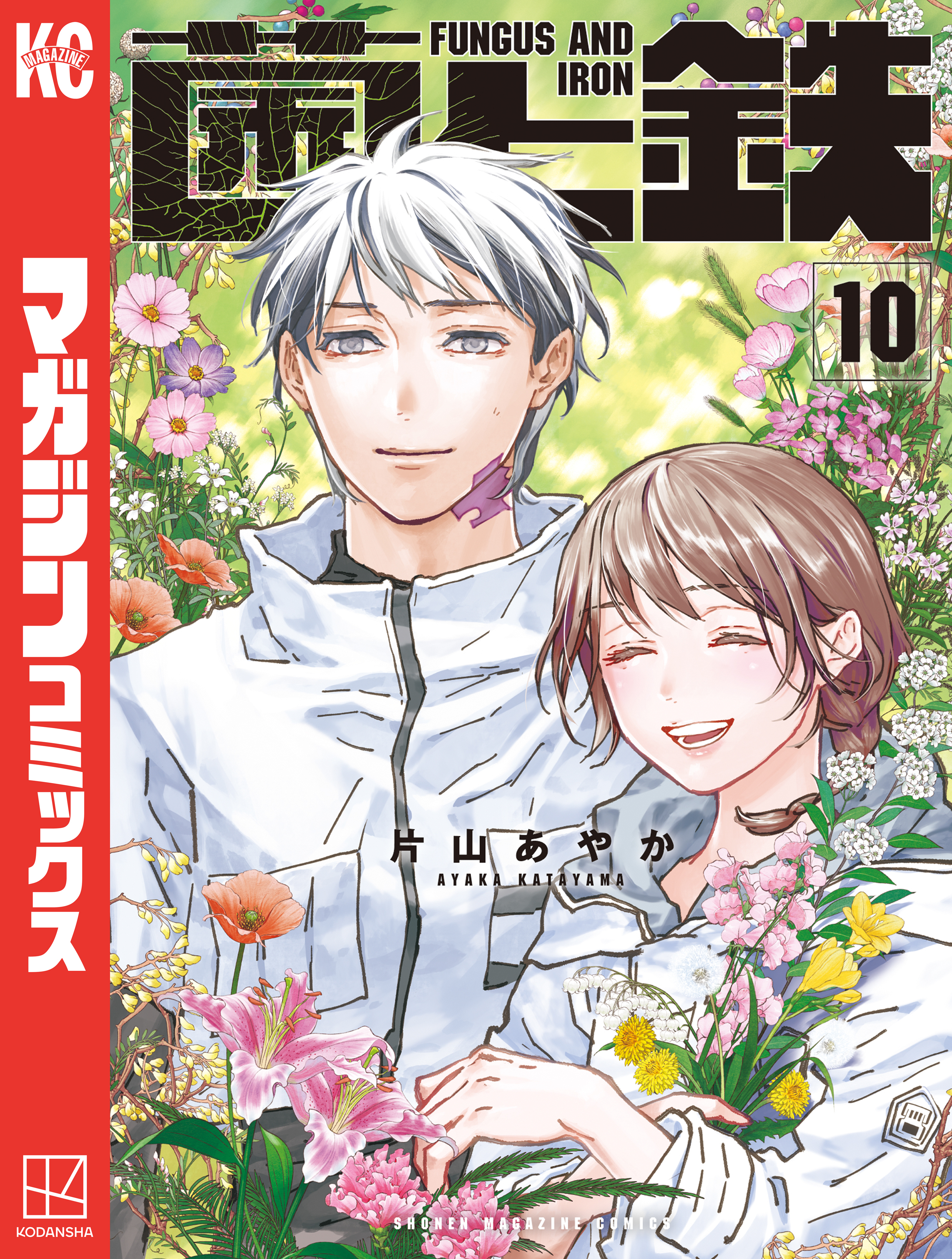 菌と鉄（10）