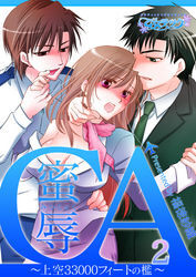 蜜辱ＣＡ～上空33000フィートの檻～（2）（1）