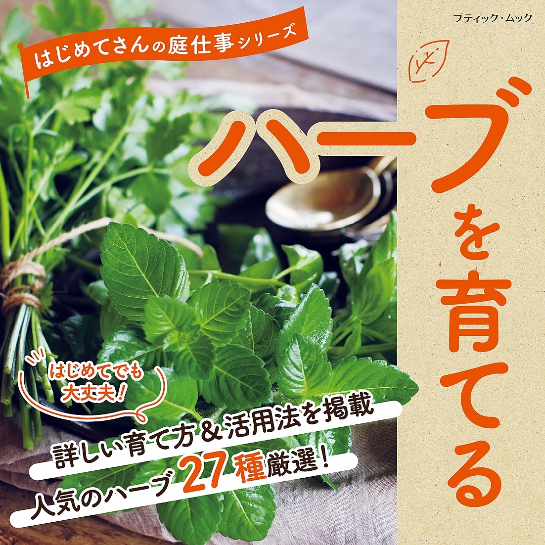 ハーブを育てる