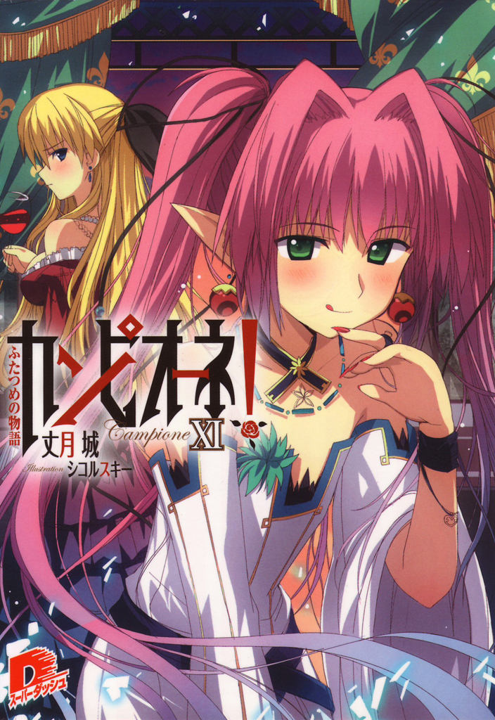 カンピオーネ！　XI　ふたつめの物語