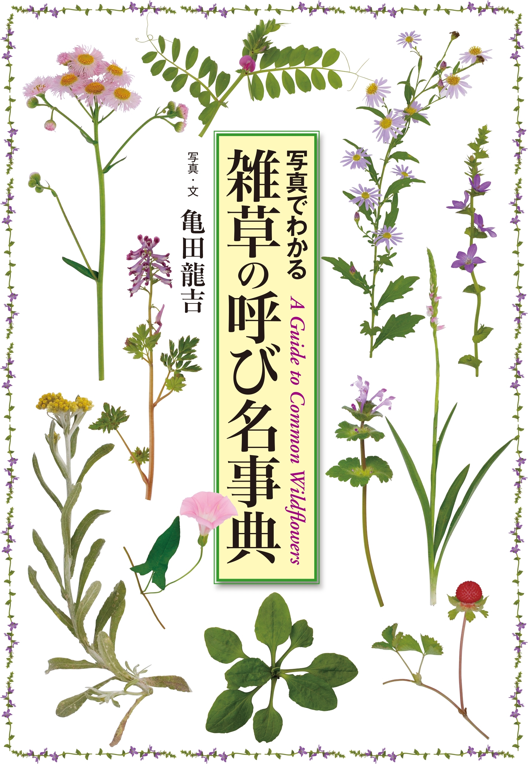 雑草の呼び名事典